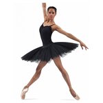 Bloch Rehearsal Tutu Skirt - R2921 Black